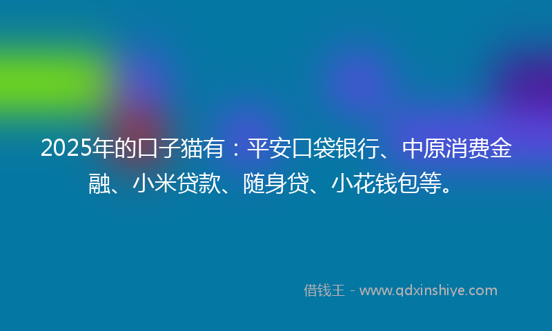 2025年的口子猫有：平安口袋银行、中原消费金融、小米贷款、随身贷、小花钱包等。
