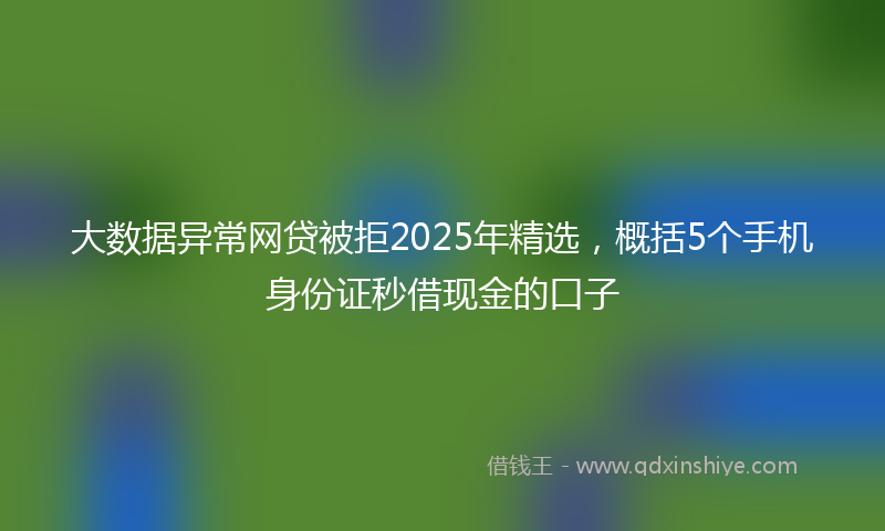 大数据异常网贷被拒2025年精选，概括5个手机身份证秒借现金的口子