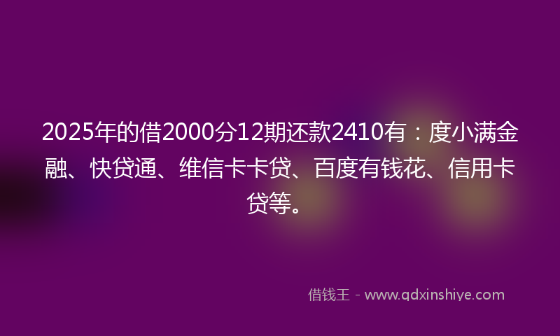 2025年的借2000分12期还款2410有：度小满金融、快贷通、维信卡卡贷、百度有钱花、信用卡贷等。