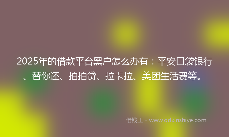 2025年的借款平台黑户怎么办有：平安口袋银行、替你还、拍拍贷、拉卡拉、美团生活费等。