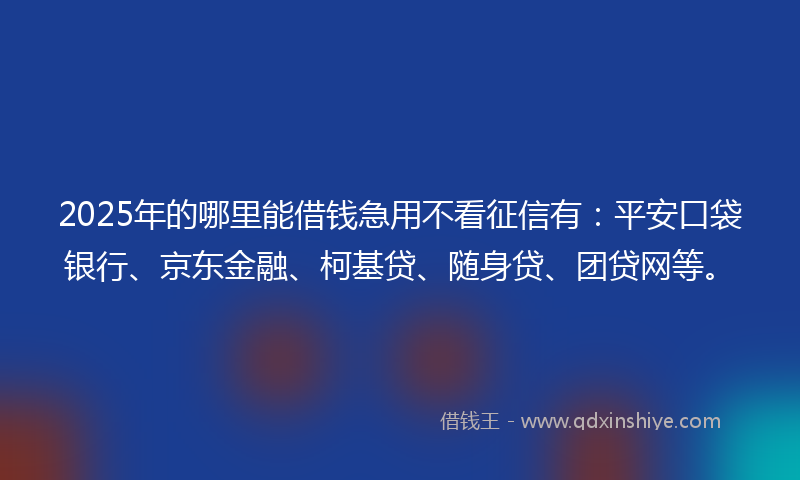 2025年的哪里能借钱急用不看征信有：平安口袋银行、京东金融、柯基贷、随身贷、团贷网等。