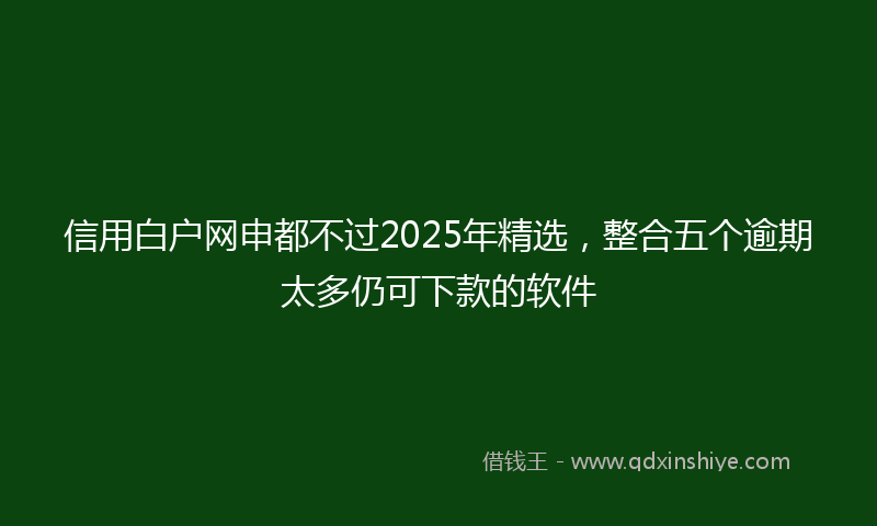 信用白户网申都不过2025年精选，整合五个逾期太多仍可下款的软件