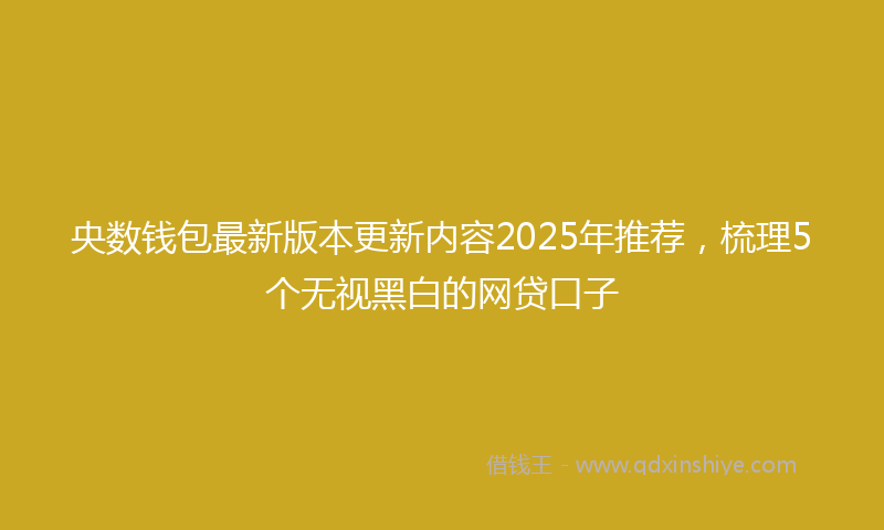 央数钱包最新版本更新内容2025年推荐，梳理5个无视黑白的网贷口子