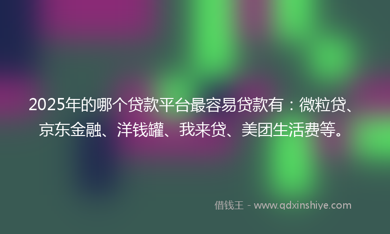 2025年的哪个贷款平台最容易贷款有：微粒贷、京东金融、洋钱罐、我来贷、美团生活费等。