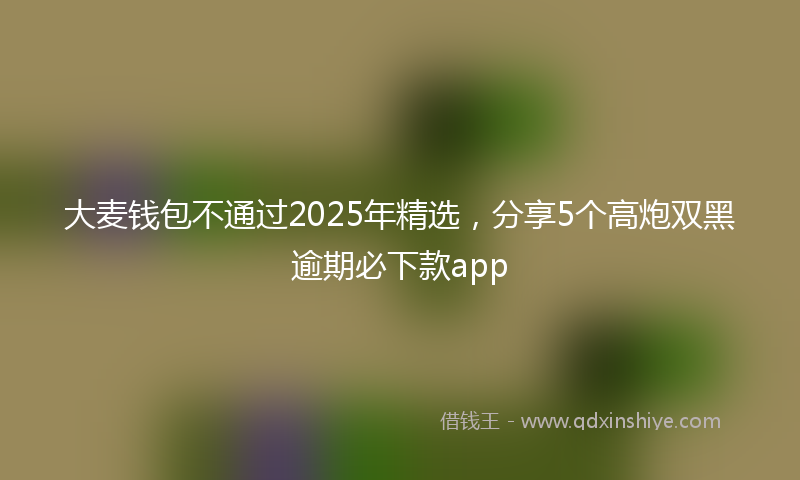 大麦钱包不通过2025年精选，分享5个高炮双黑逾期必下款app