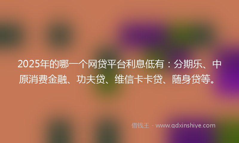 2025年的哪一个网贷平台利息低有：分期乐、中原消费金融、功夫贷、维信卡卡贷、随身贷等。