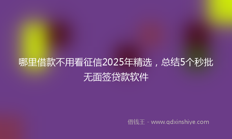 哪里借款不用看征信2025年精选，总结5个秒批无面签贷款软件
