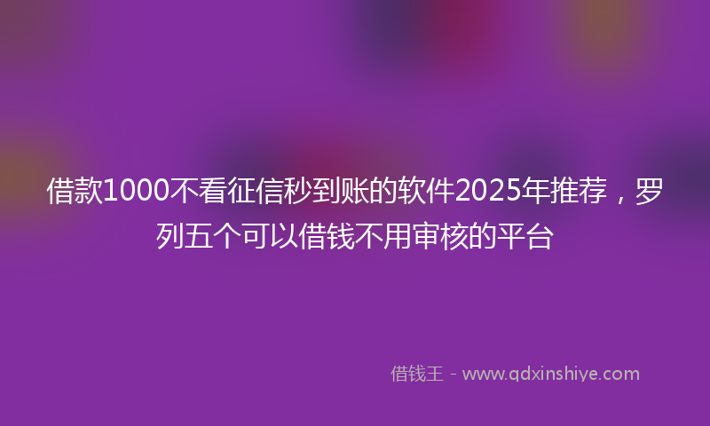 借款1000不看征信秒到账的软件2025年推荐，罗列五个可以借钱不用审核的平台
