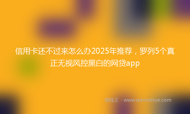 信用卡还不过来怎么办2025年推荐，罗列5个真正无视风控黑白的网贷app