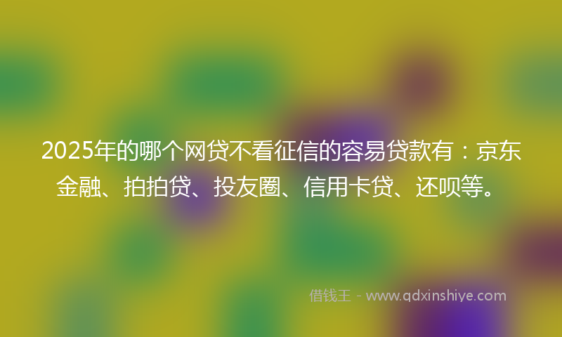 2025年的哪个网贷不看征信的容易贷款有：京东金融、拍拍贷、投友圈、信用卡贷、还呗等。