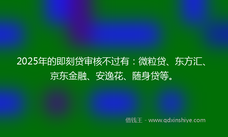 2025年的即刻贷审核不过有：微粒贷、东方汇、京东金融、安逸花、随身贷等。