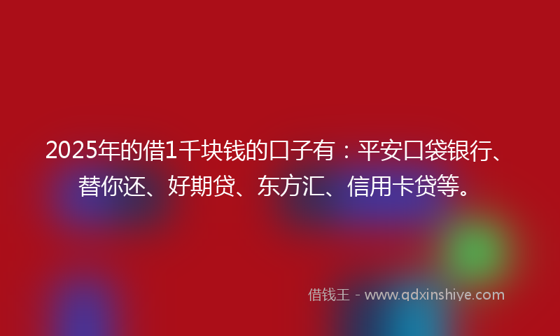 2025年的借1千块钱的口子有：平安口袋银行、替你还、好期贷、东方汇、信用卡贷等。