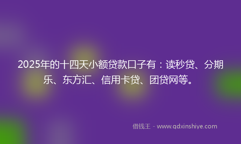 2025年的十四天小额贷款口子有：读秒贷、分期乐、东方汇、信用卡贷、团贷网等。