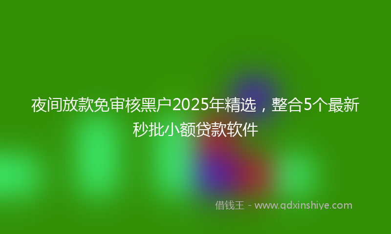 夜间放款免审核黑户2025年精选，整合5个最新秒批小额贷款软件