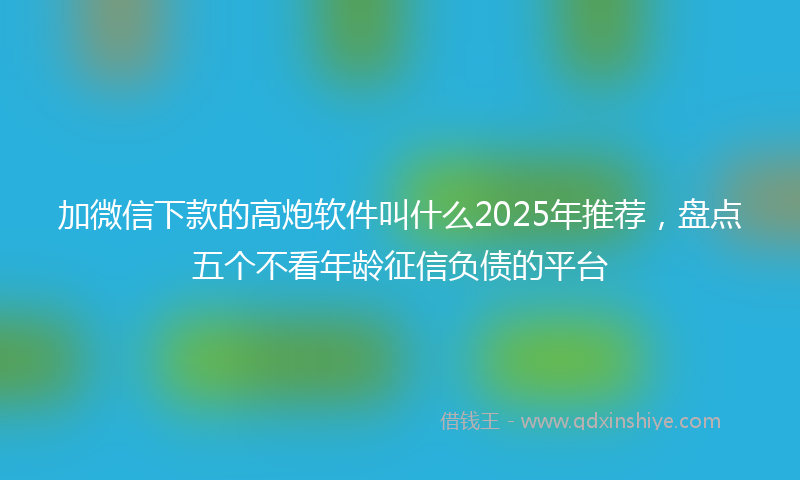 加微信下款的高炮软件叫什么2025年推荐，盘点五个不看年龄征信负债的平台