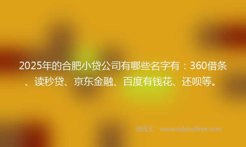 2025年的合肥小贷公司有哪些名字有：360借条、读秒贷、京东金融、百度有钱花、还呗等。