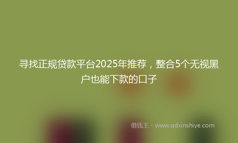 寻找正规贷款平台2025年推荐，整合5个无视黑户也能下款的口子