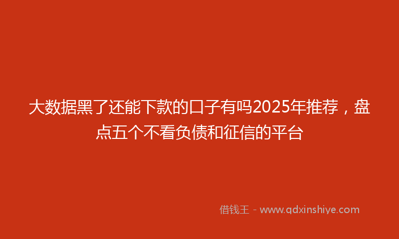 大数据黑了还能下款的口子有吗2025年推荐，盘点五个不看负债和征信的平台