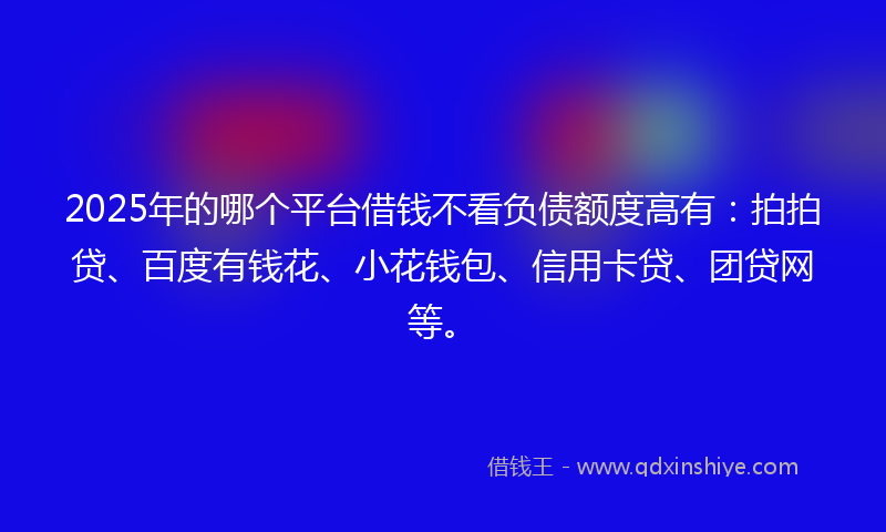 2025年的哪个平台借钱不看负债额度高有：拍拍贷、百度有钱花、小花钱包、信用卡贷、团贷网等。