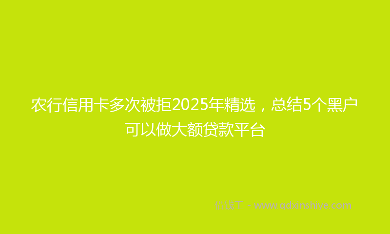 农行信用卡多次被拒2025年精选，总结5个黑户可以做大额贷款平台