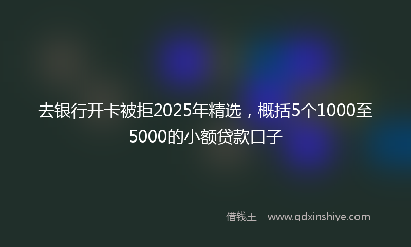 去银行开卡被拒2025年精选，概括5个1000至5000的小额贷款口子