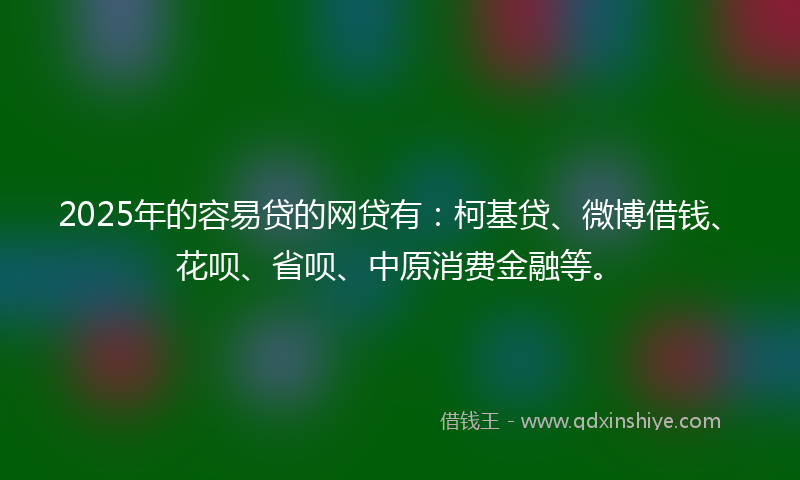 2025年的容易贷的网贷有：柯基贷、微博借钱、花呗、省呗、中原消费金融等。