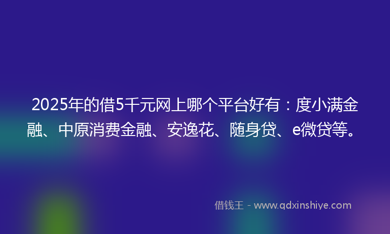 2025年的借5千元网上哪个平台好有：度小满金融、中原消费金融、安逸花、随身贷、e微贷等。