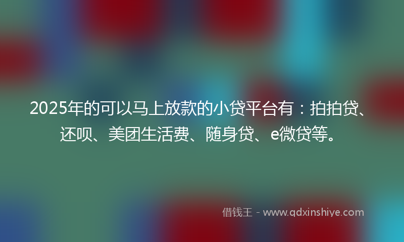2025年的可以马上放款的小贷平台有：拍拍贷、还呗、美团生活费、随身贷、e微贷等。
