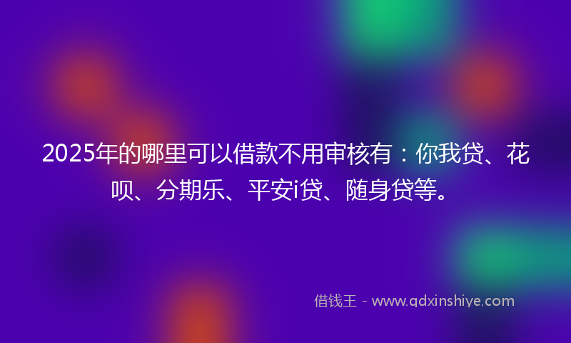 2025年的哪里可以借款不用审核有：你我贷、花呗、分期乐、平安i贷、随身贷等。