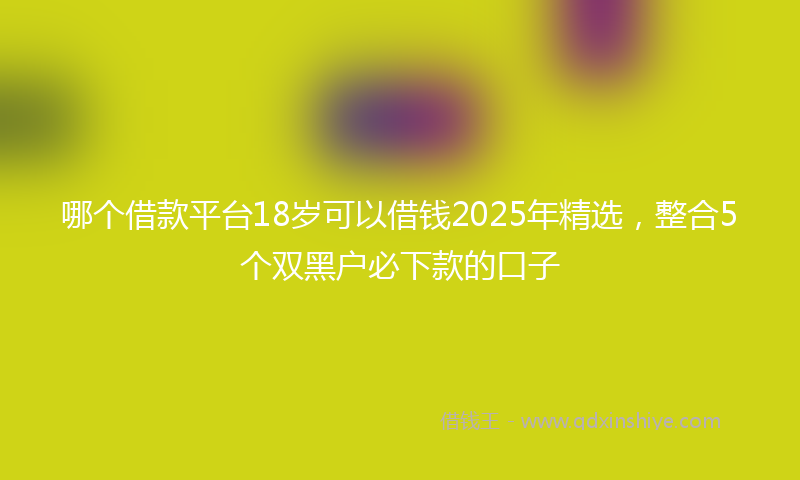 哪个借款平台18岁可以借钱2025年精选，整合5个双黑户必下款的口子