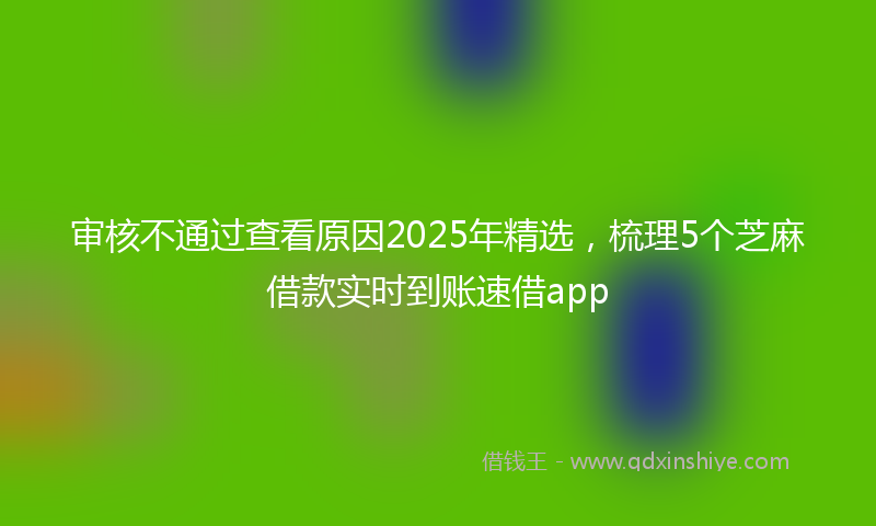 审核不通过查看原因2025年精选，梳理5个芝麻借款实时到账速借app