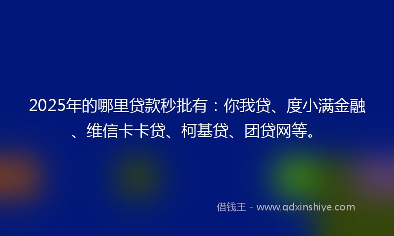 2025年的哪里贷款秒批有：你我贷、度小满金融、维信卡卡贷、柯基贷、团贷网等。