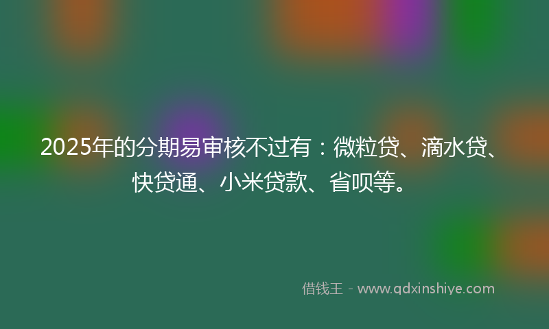 2025年的分期易审核不过有：微粒贷、滴水贷、快贷通、小米贷款、省呗等。