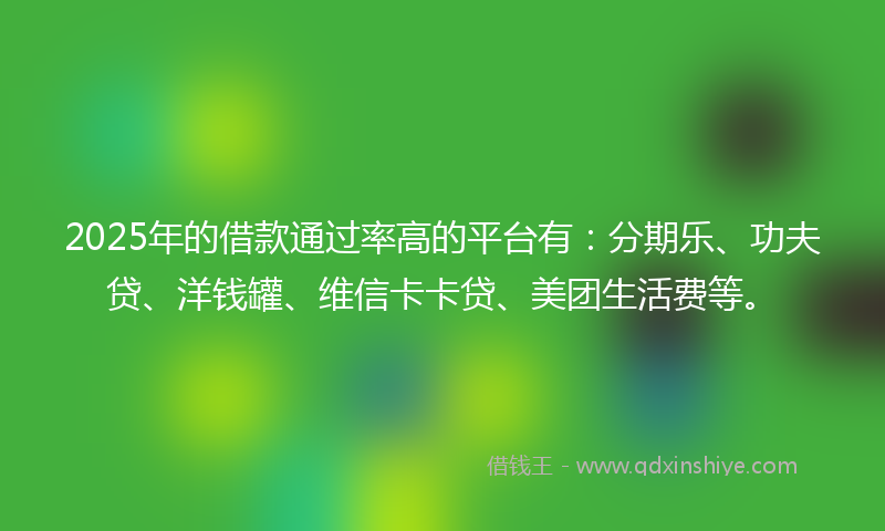 2025年的借款通过率高的平台有：分期乐、功夫贷、洋钱罐、维信卡卡贷、美团生活费等。