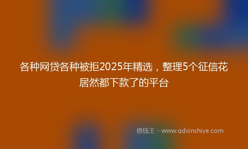 各种网贷各种被拒2025年精选，整理5个征信花居然都下款了的平台