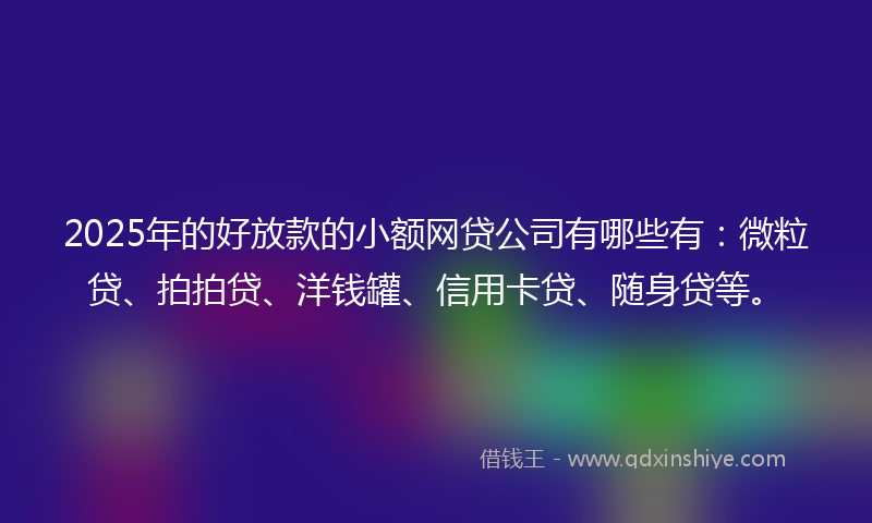 2025年的好放款的小额网贷公司有哪些有：微粒贷、拍拍贷、洋钱罐、信用卡贷、随身贷等。