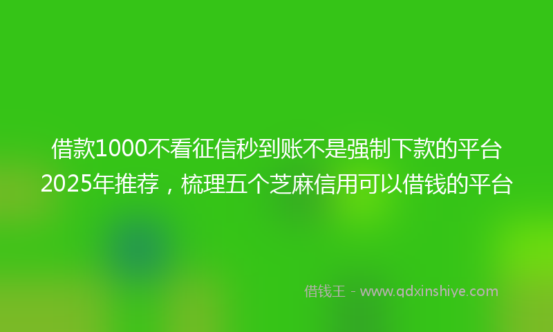 借款1000不看征信秒到账不是强制下款的平台2025年推荐，梳理五个芝麻信用可以借钱的平台