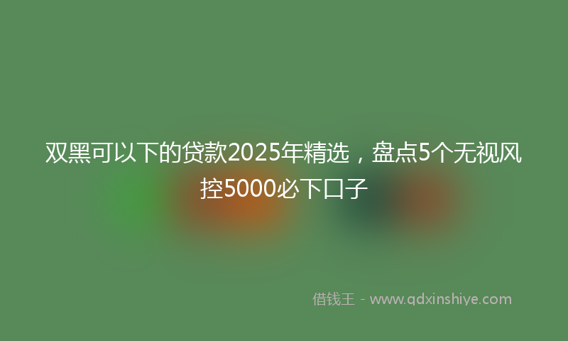 双黑可以下的贷款2025年精选，盘点5个无视风控5000必下口子