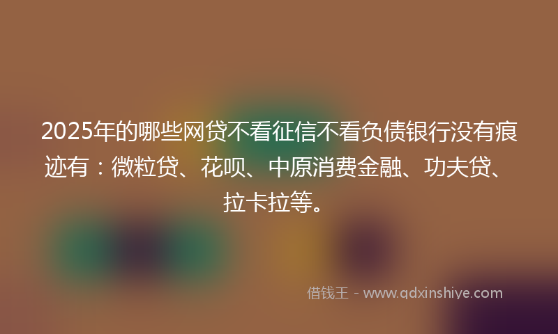 2025年的哪些网贷不看征信不看负债银行没有痕迹有：微粒贷、花呗、中原消费金融、功夫贷、拉卡拉等。