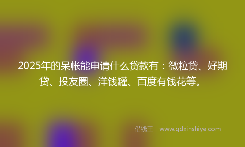2025年的呆帐能申请什么贷款有：微粒贷、好期贷、投友圈、洋钱罐、百度有钱花等。