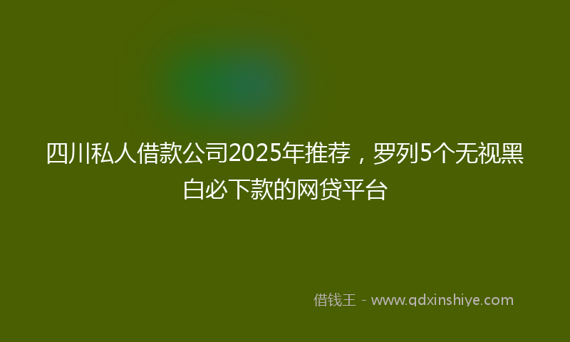 四川私人借款公司2025年推荐，罗列5个无视黑白必下款的网贷平台