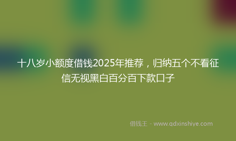 十八岁小额度借钱2025年推荐，归纳五个不看征信无视黑白百分百下款口子