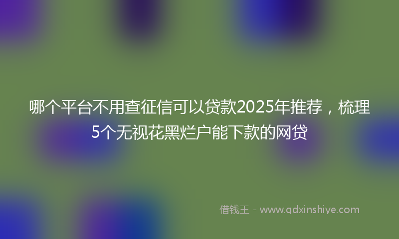 哪个平台不用查征信可以贷款2025年推荐，梳理5个无视花黑烂户能下款的网贷