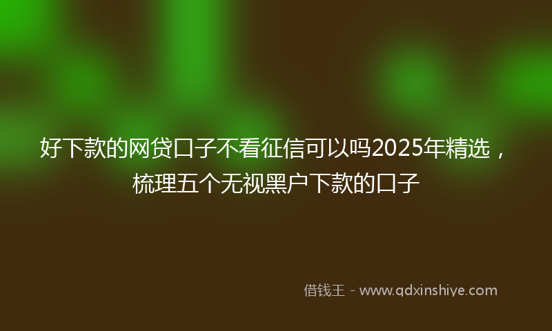 好下款的网贷口子不看征信可以吗2025年精选，梳理五个无视黑户下款的口子