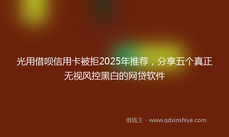 光用借呗信用卡被拒2025年推荐，分享五个真正无视风控黑白的网贷软件