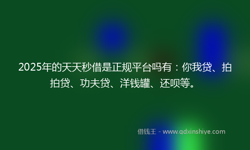 2025年的天天秒借是正规平台吗有：你我贷、拍拍贷、功夫贷、洋钱罐、还呗等。