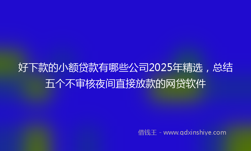 好下款的小额贷款有哪些公司2025年精选，总结五个不审核夜间直接放款的网贷软件
