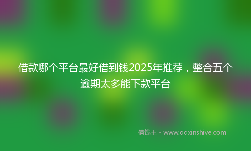 借款哪个平台最好借到钱2025年推荐，整合五个逾期太多能下款平台