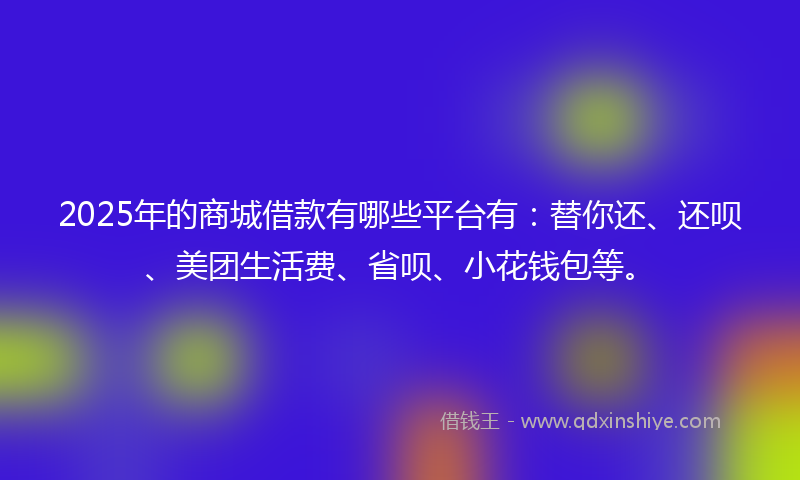 2025年的商城借款有哪些平台有：替你还、还呗、美团生活费、省呗、小花钱包等。