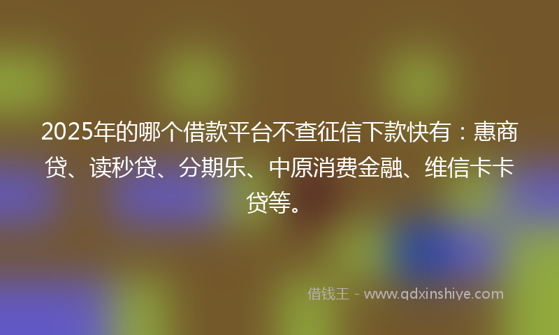 2025年的哪个借款平台不查征信下款快有：惠商贷、读秒贷、分期乐、中原消费金融、维信卡卡贷等。